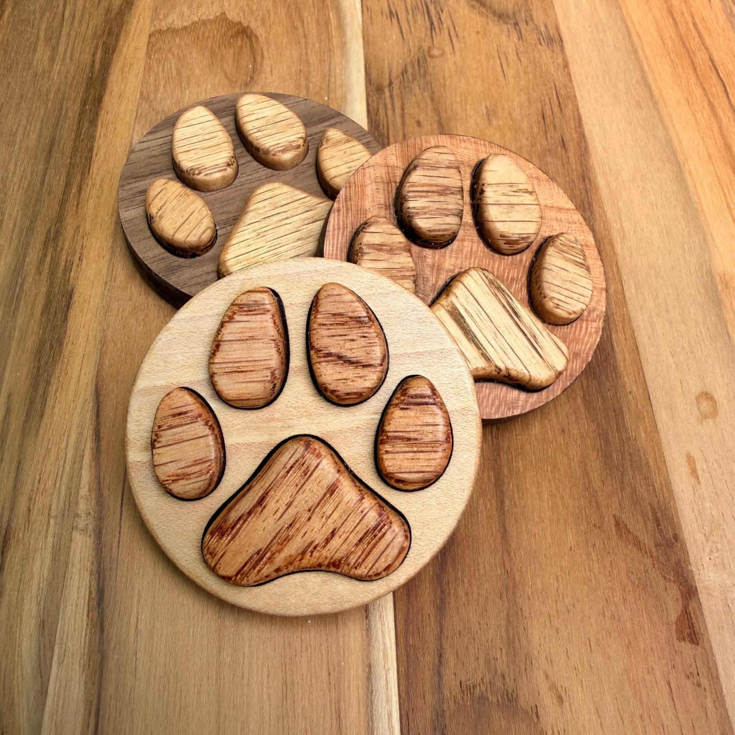 Three round wooden paw print magnets in different wood tones (one maple, one cherry, one walnut), arranged on a wooden surface.